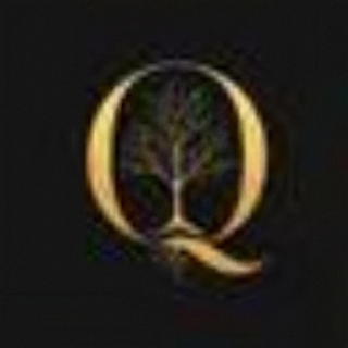 Quiddity logo